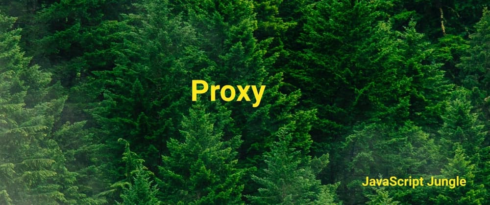 What is the Proxy ?